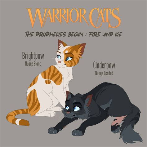 warrior cats apprentice